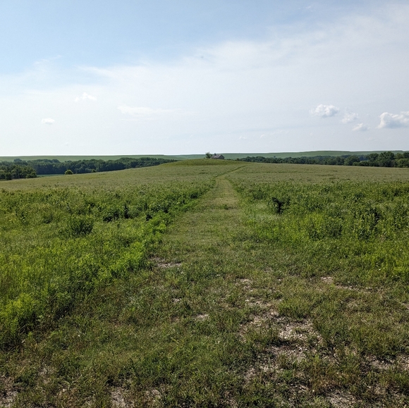 Meet your Posher, Elin - Picture 1 of 1